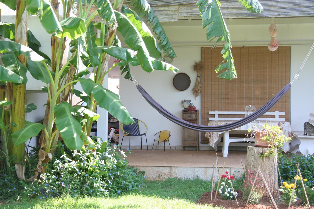 Casa Di Marco Bed & Breakfast ซานนิโกลา ภายนอก รูปภาพ