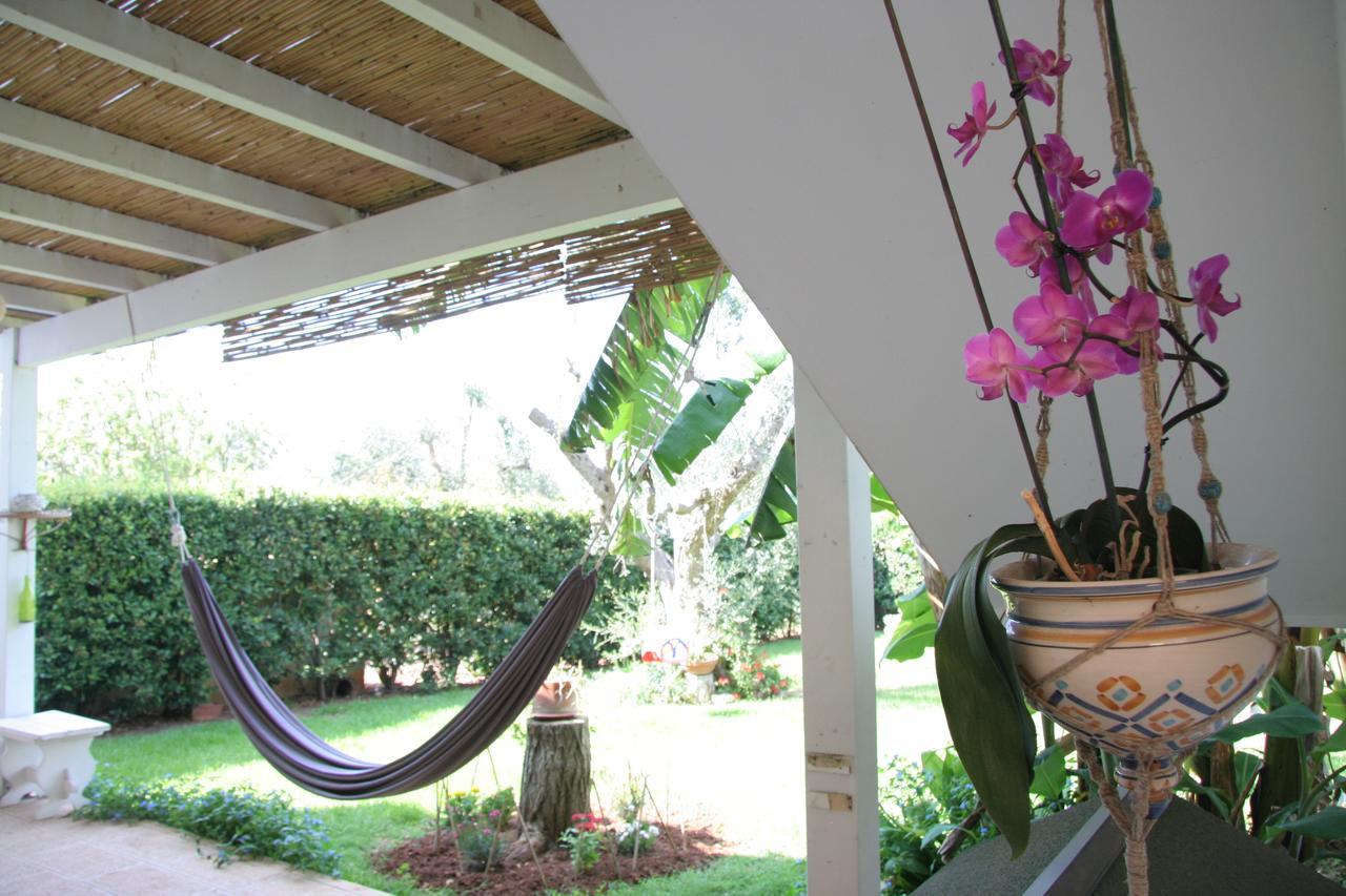 Casa Di Marco Bed & Breakfast ซานนิโกลา ภายนอก รูปภาพ